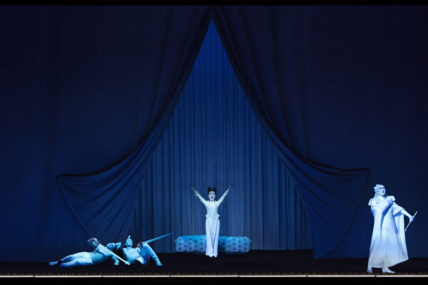 cortina-cu-deschidere-cu-pliere-pe-fata-1