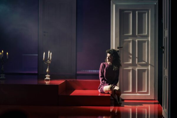 Teatrul Mic-Stralucirea Parazitilor