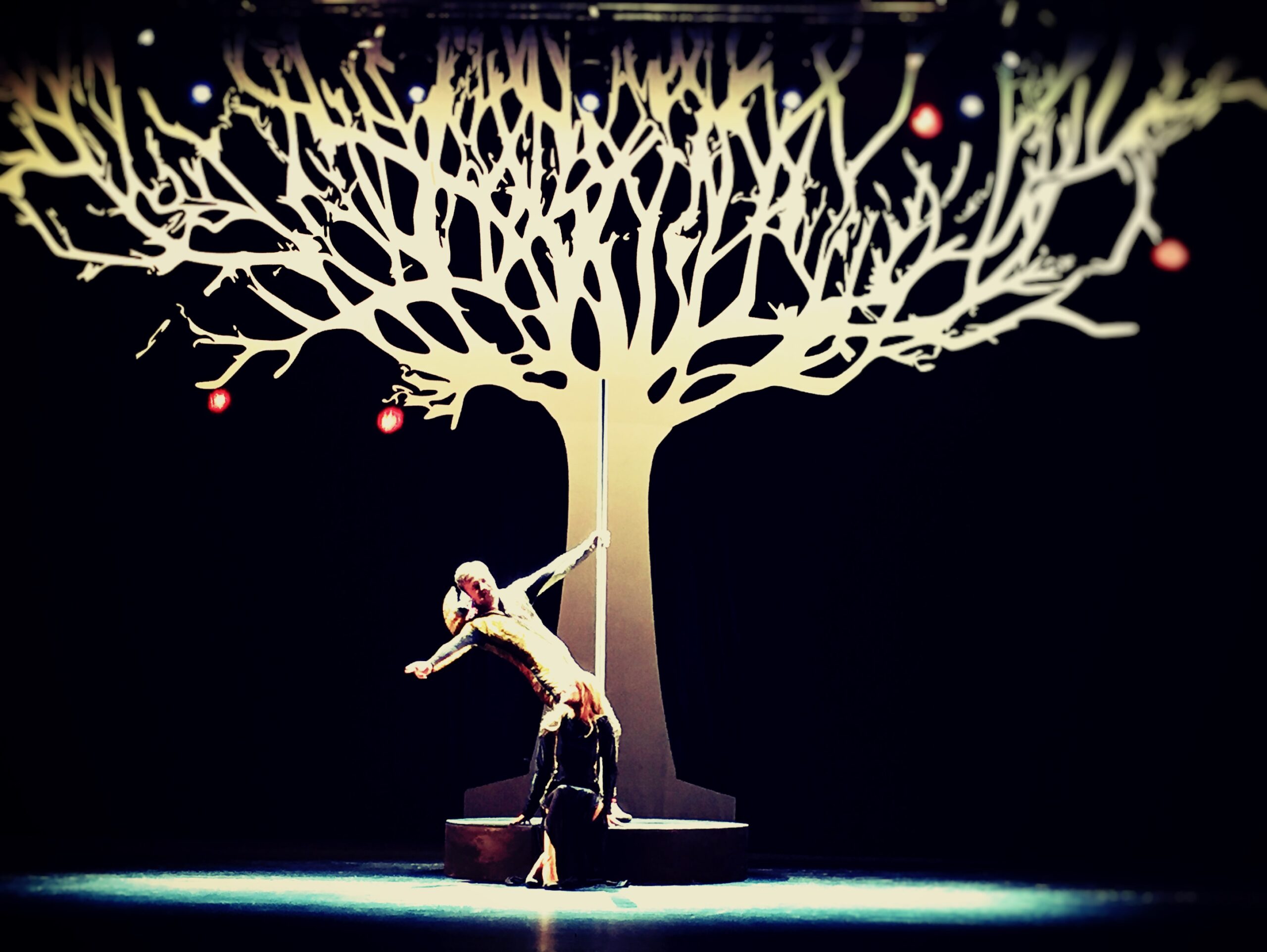 Teatrul National Iasi-folie ghiaccio printata 1