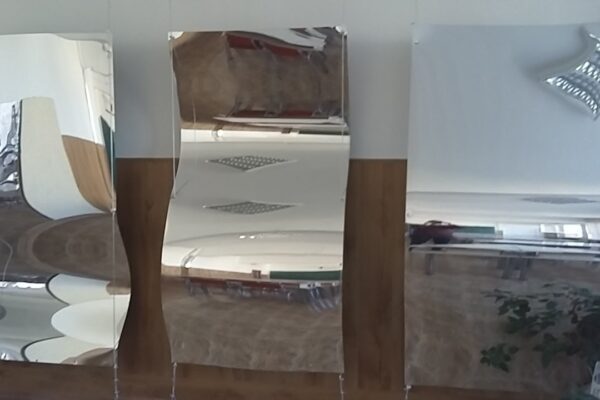 Scoala gimnaziala G.E Palade Ploiesti-4